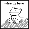what is frog